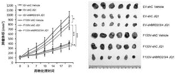 Prostatic cancer marker SPOP and application thereof in guiding of tumor treatment