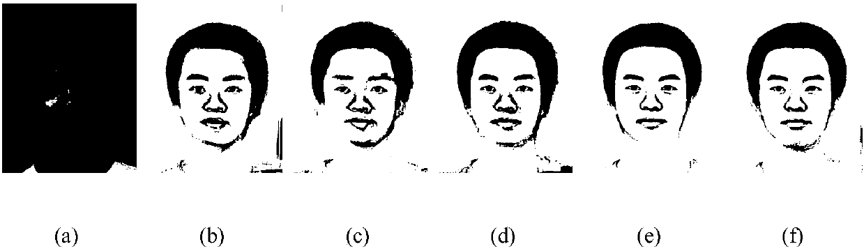 Face portrait synthesis method based on adaptive representation