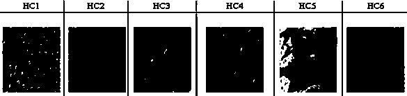 Hydrophobic live test device for transmission line composite insulator based on UAV