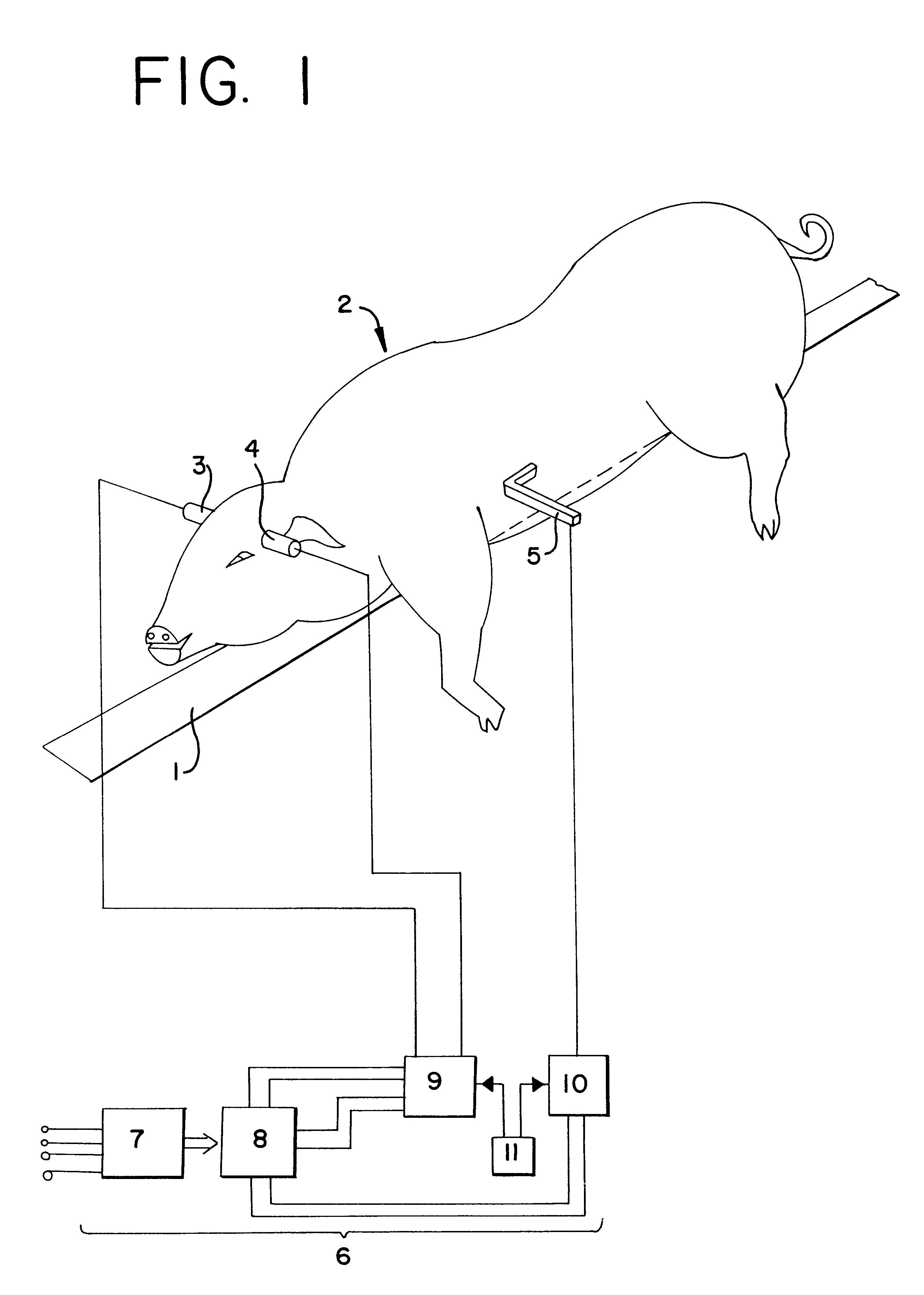 Method and device for stunning an animal for slaughter