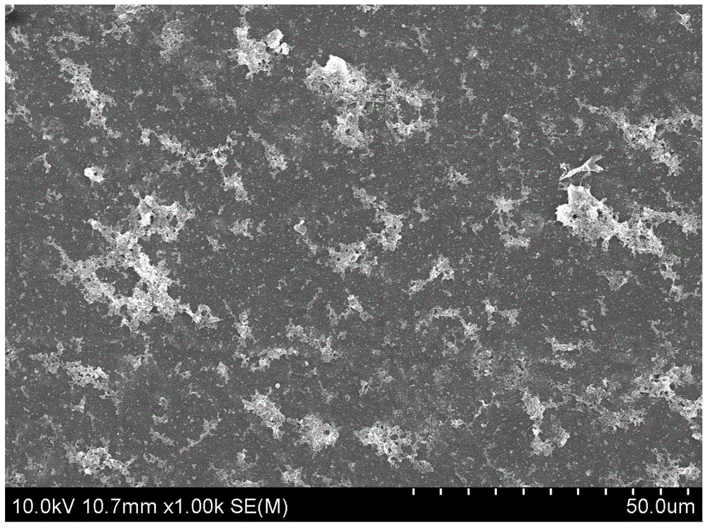 Method for preparing conductive polymer nano nerve conduit material