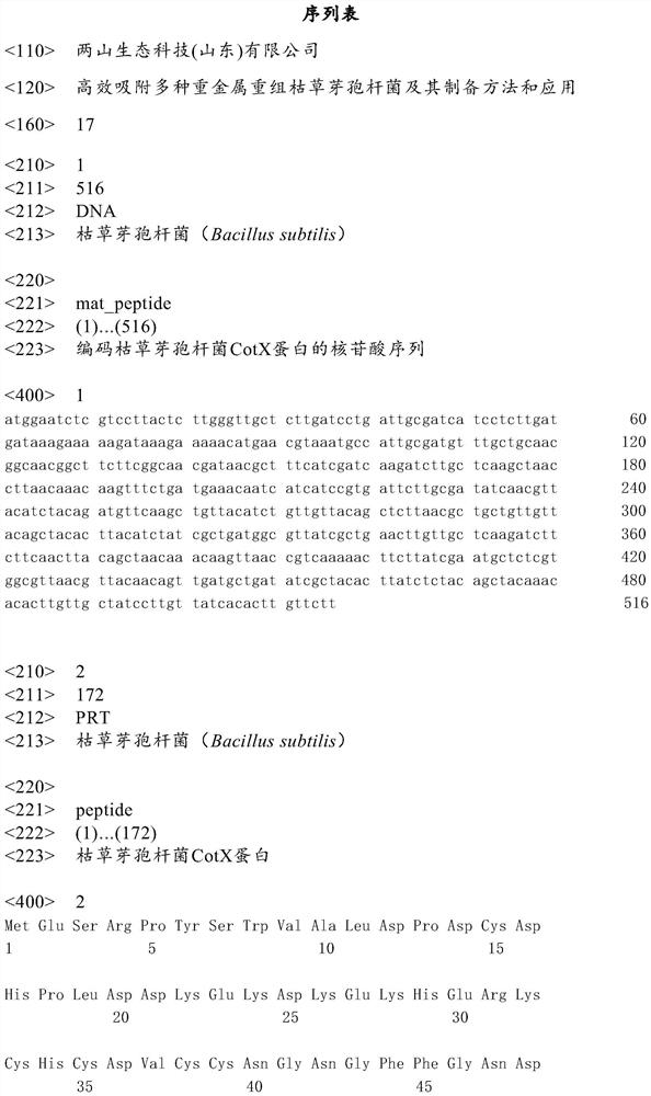 Recombinant bacillus subtilis capable of efficiently adsorbing multiple heavy metals as well as preparation method and application of recombinant bacillus subtilis