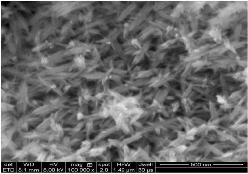 Needle-sized nanometer iron oxide adsorbent and preparation method thereof