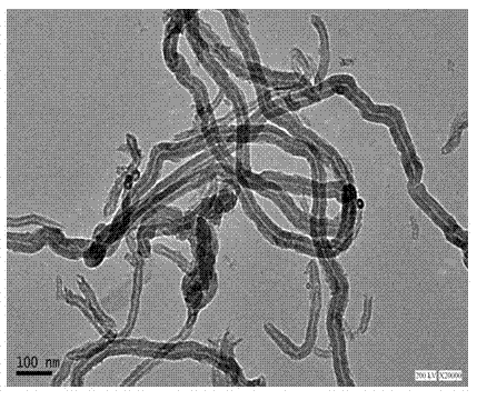 Preparation method of polyaniline/carbon nano tube compound electromagnetic shielding material