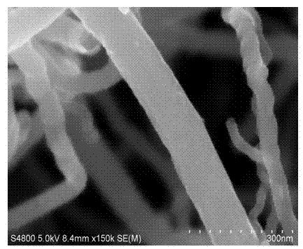 Preparation method of polyaniline/carbon nano tube compound electromagnetic shielding material