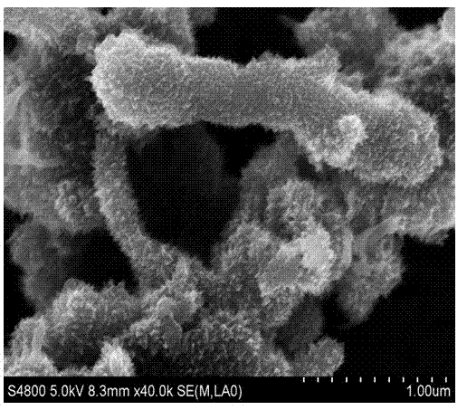 Preparation method of polyaniline/carbon nano tube compound electromagnetic shielding material