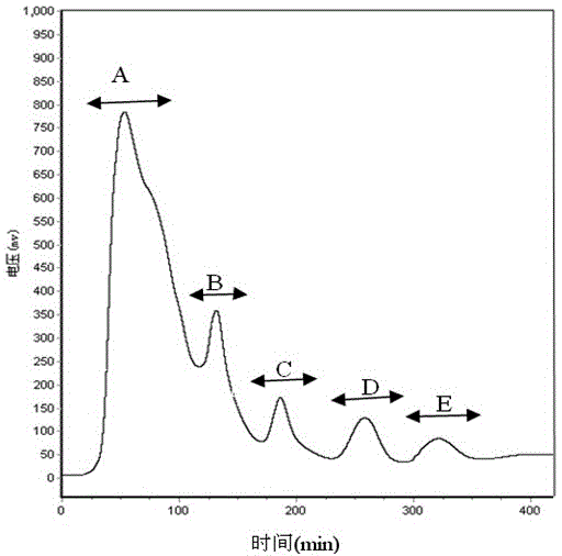 Antioxidant peptide of walnut meal and preparation method thereof