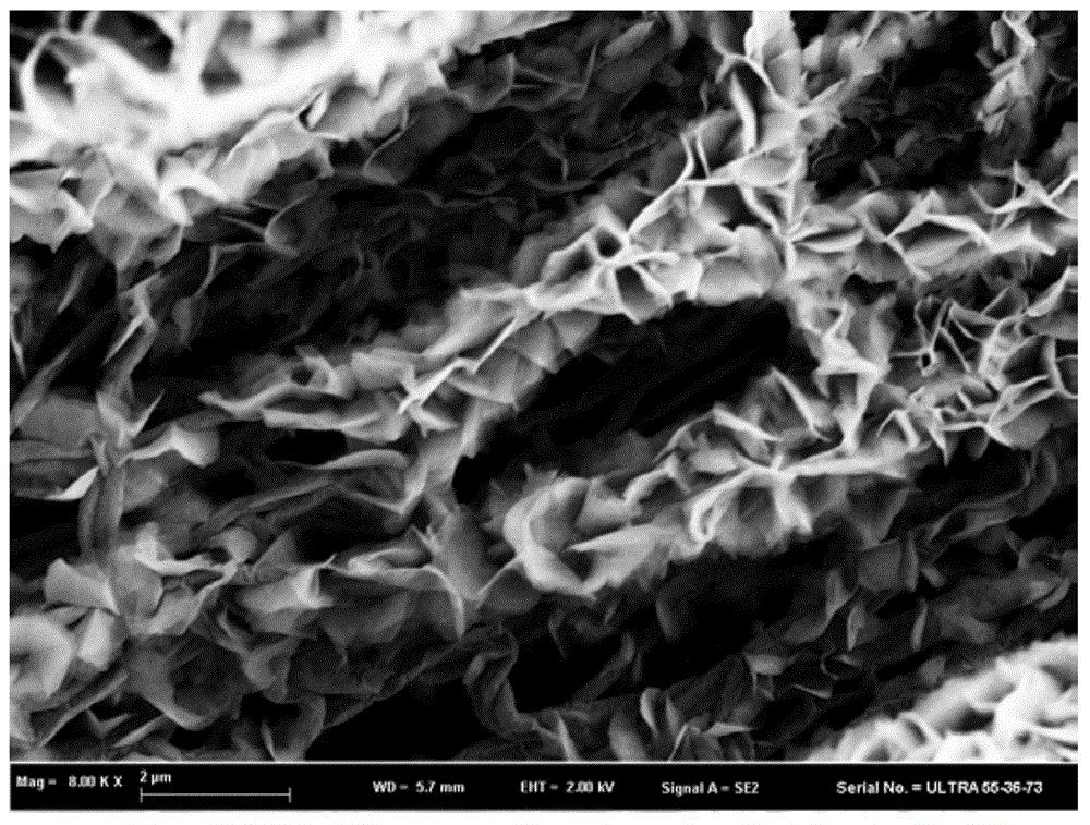 Preparation method of molybdenum disulfide/carbon nano-fiber hybrid material
