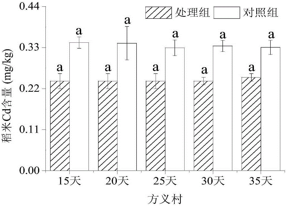Water management planting method for reducing content of cadmium in rice