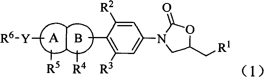 Oxazolidinone antibiotic containing parallel rings