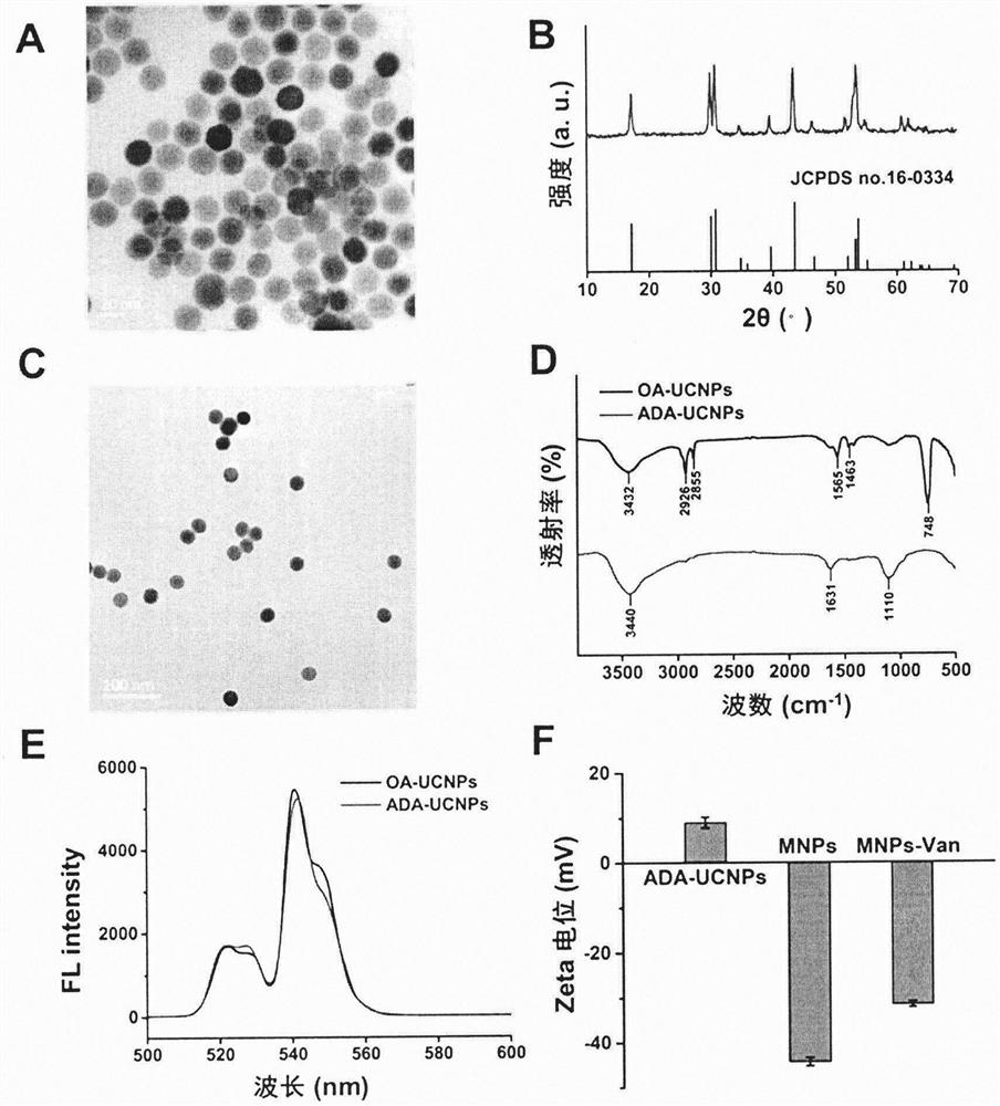 Construction method of fluorescent biosensor for rapid detection of Listeria monocytogenes