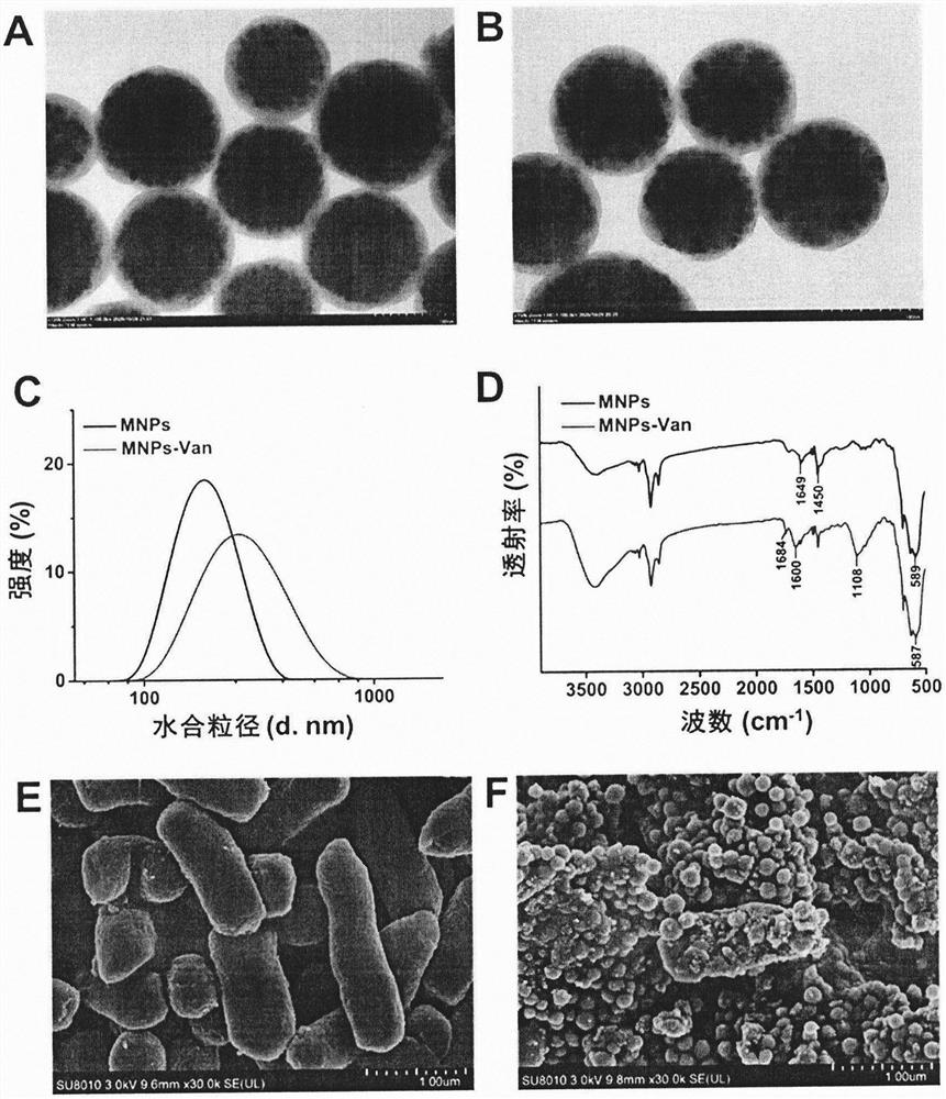 Construction method of fluorescent biosensor for rapid detection of Listeria monocytogenes