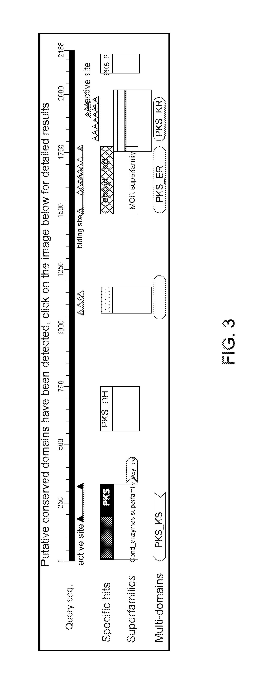 Blood pressure reducing composition fabricated by using monascus purpureus ntu 568 and primer for the monascus purpureus ntu 568