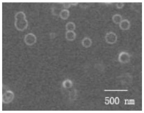 Preparation method and application of xanthan gum copolymer nano micelles