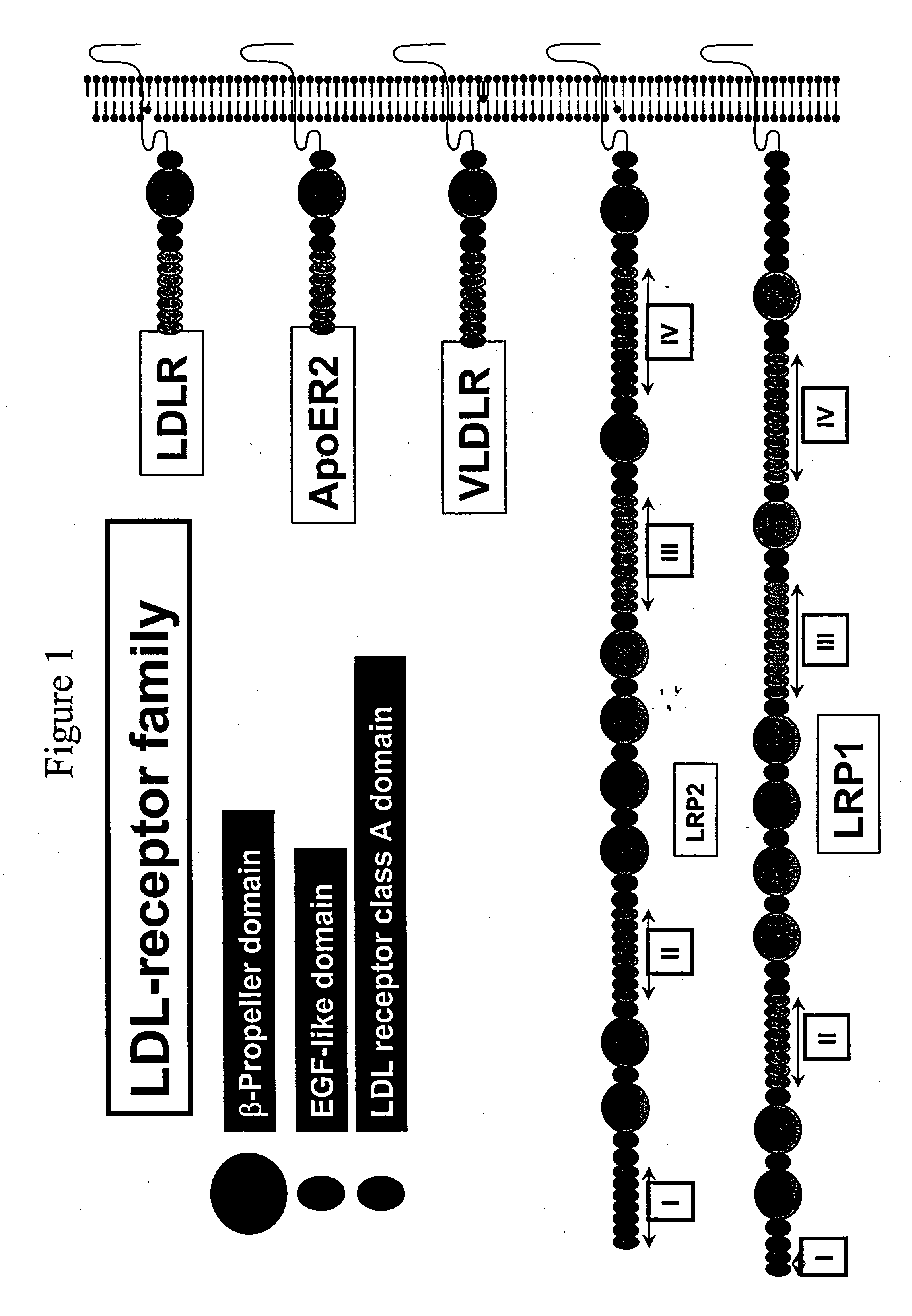Combinatorial libraries of monomer domains