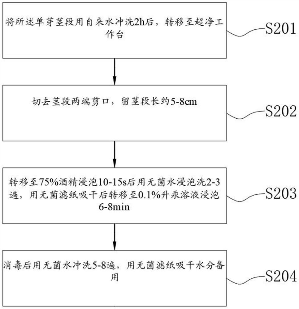 Tissue culture and rapid propagation improvement method and device for sunshine rose grapes