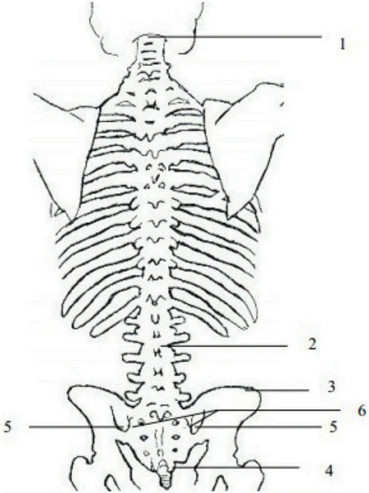 Positioning method for spine lumbar vertebra gap