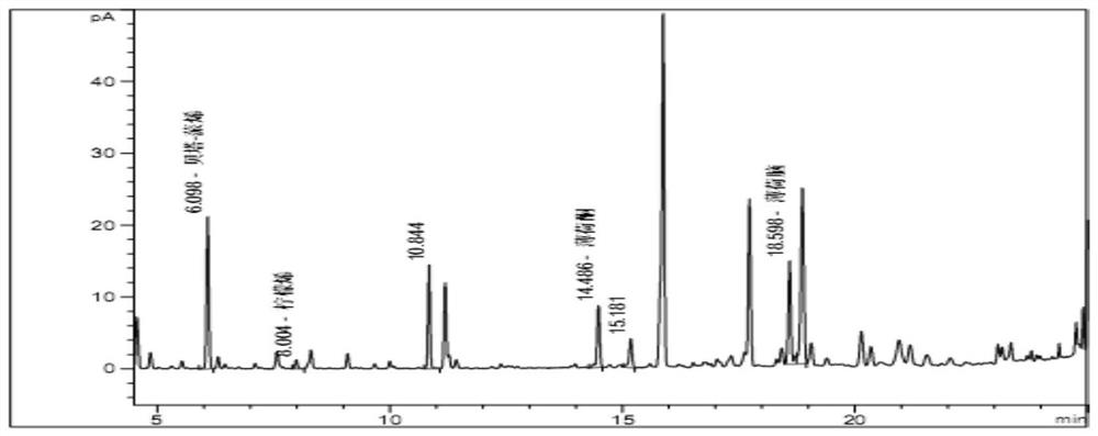 A quality-controllable Radix isatidis extract and a method for identifying the raw medicinal material Radix isatidis in Chinese patent medicines