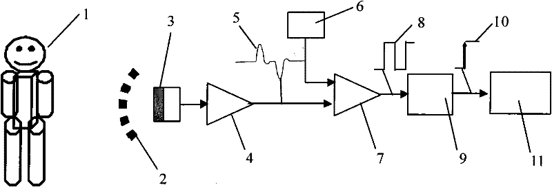 Device and method for measuring energy consumption of human body