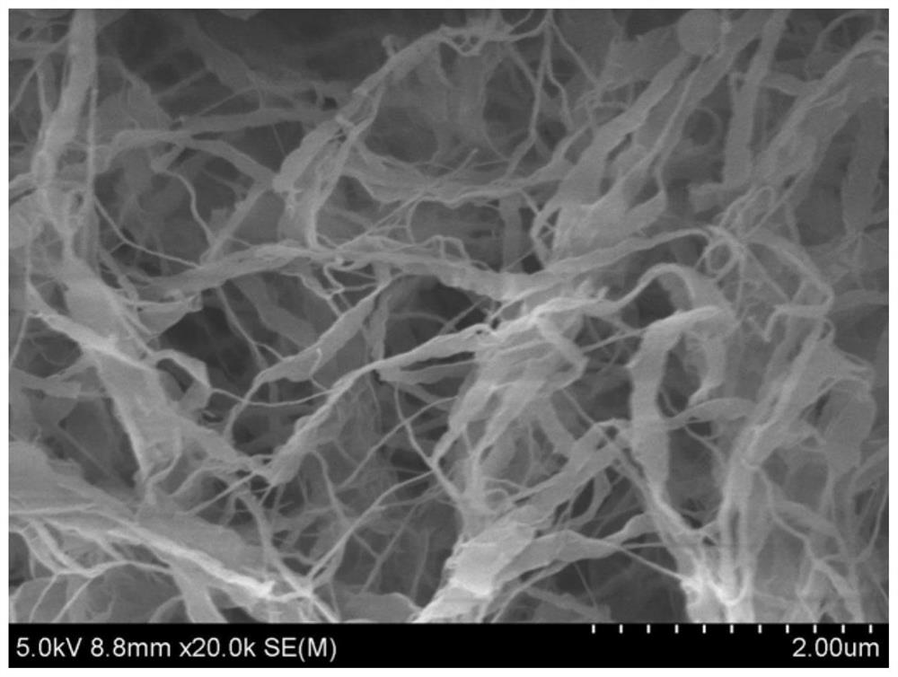 Nitrogen-oxygen co-doped porous carbon nanobelt and its preparation method and application