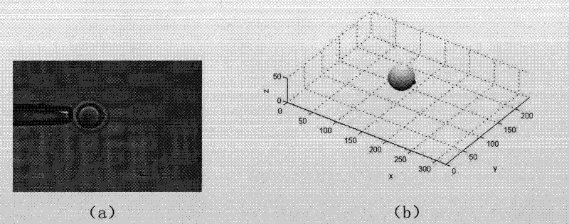 Method for determining position and gesture of ooecium in automatic intracytoplasmic sperm injection