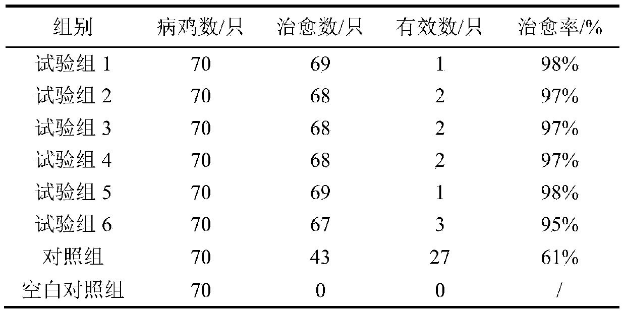 Compound traditional Chinese medicine composition for treating poultry respiratory tract infection and preparation method thereof