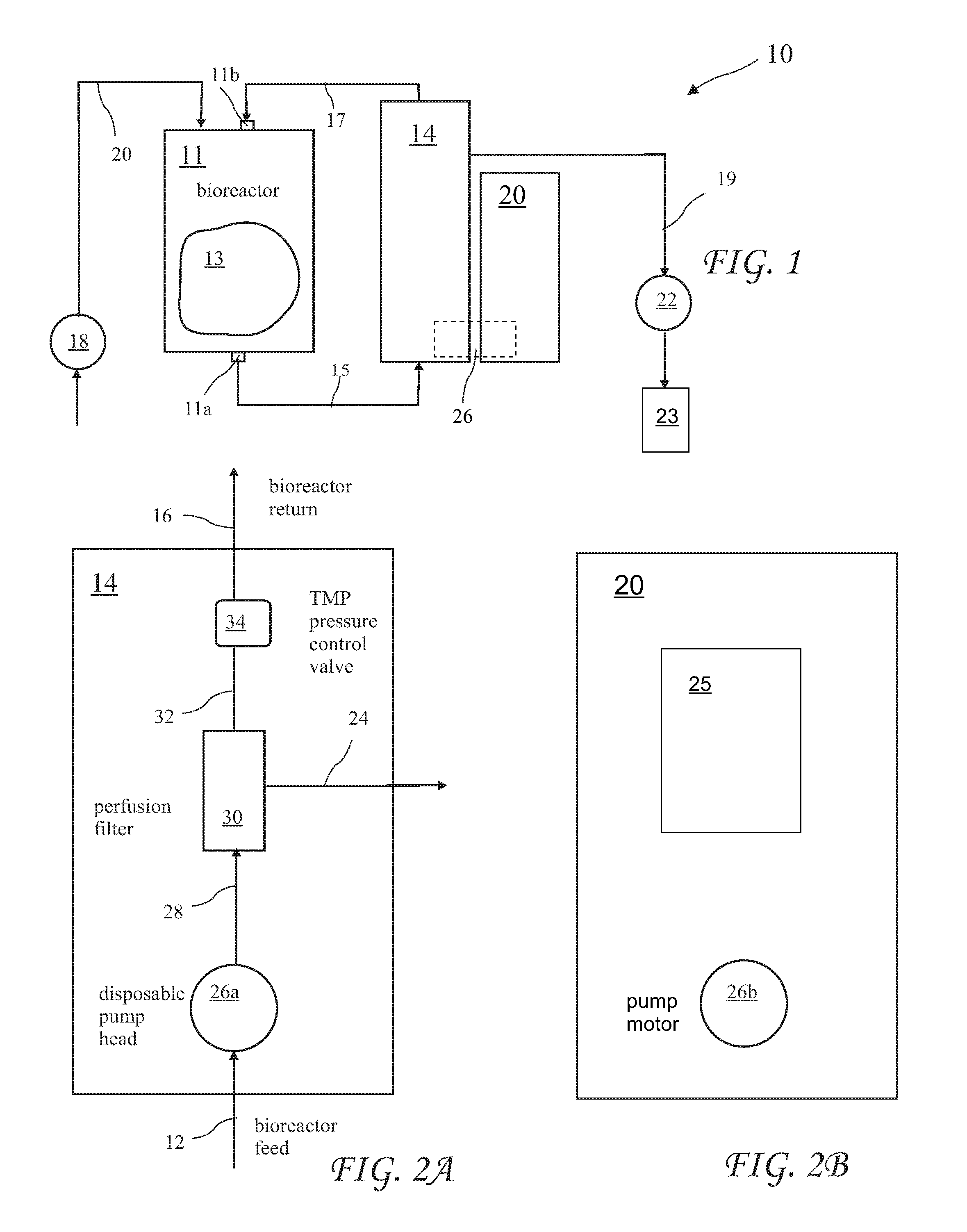 Method for Proliferation of Cells Within a Bioreactor Using a Disposable Pumphead and Filter Assembly