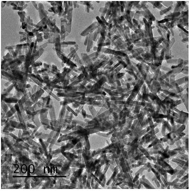 a rare earth  <sup>3+</sup> Doped indium tungstate nanomaterial, preparation method and application thereof