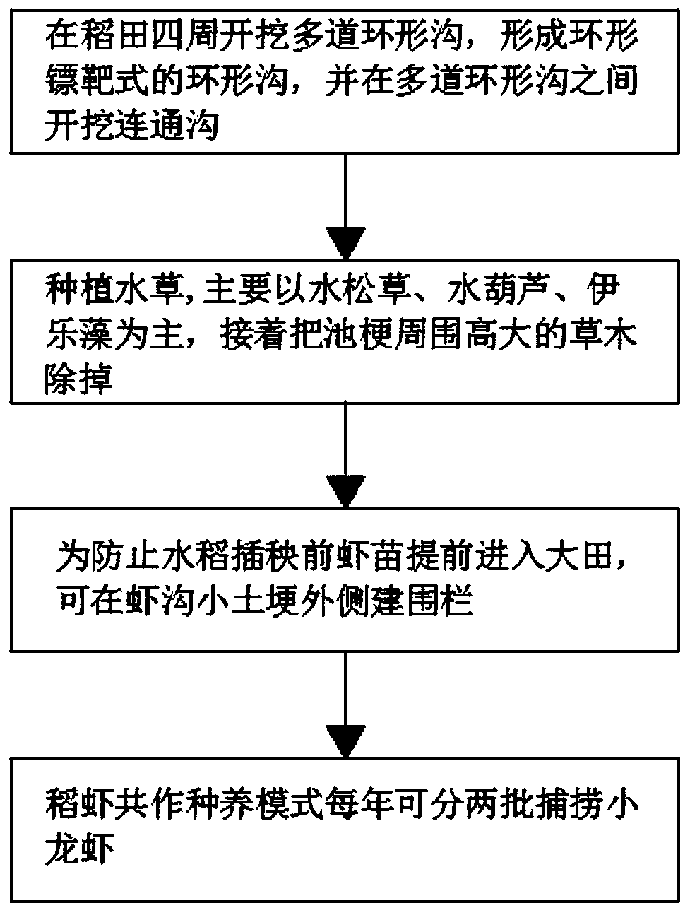 Rice and crayfish co-culture ecological organic planting and breeding method