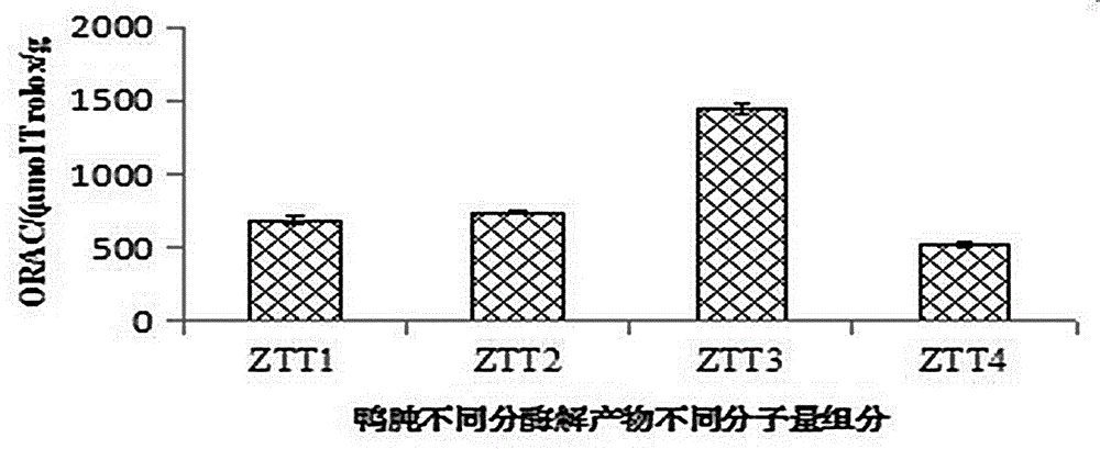 Duck gizzard duck's gizzard antioxidative peptide and application thereof