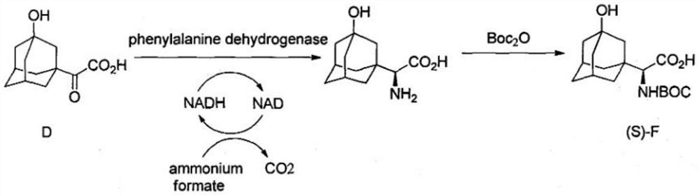 Synthetic method of saxagliptin intermediate