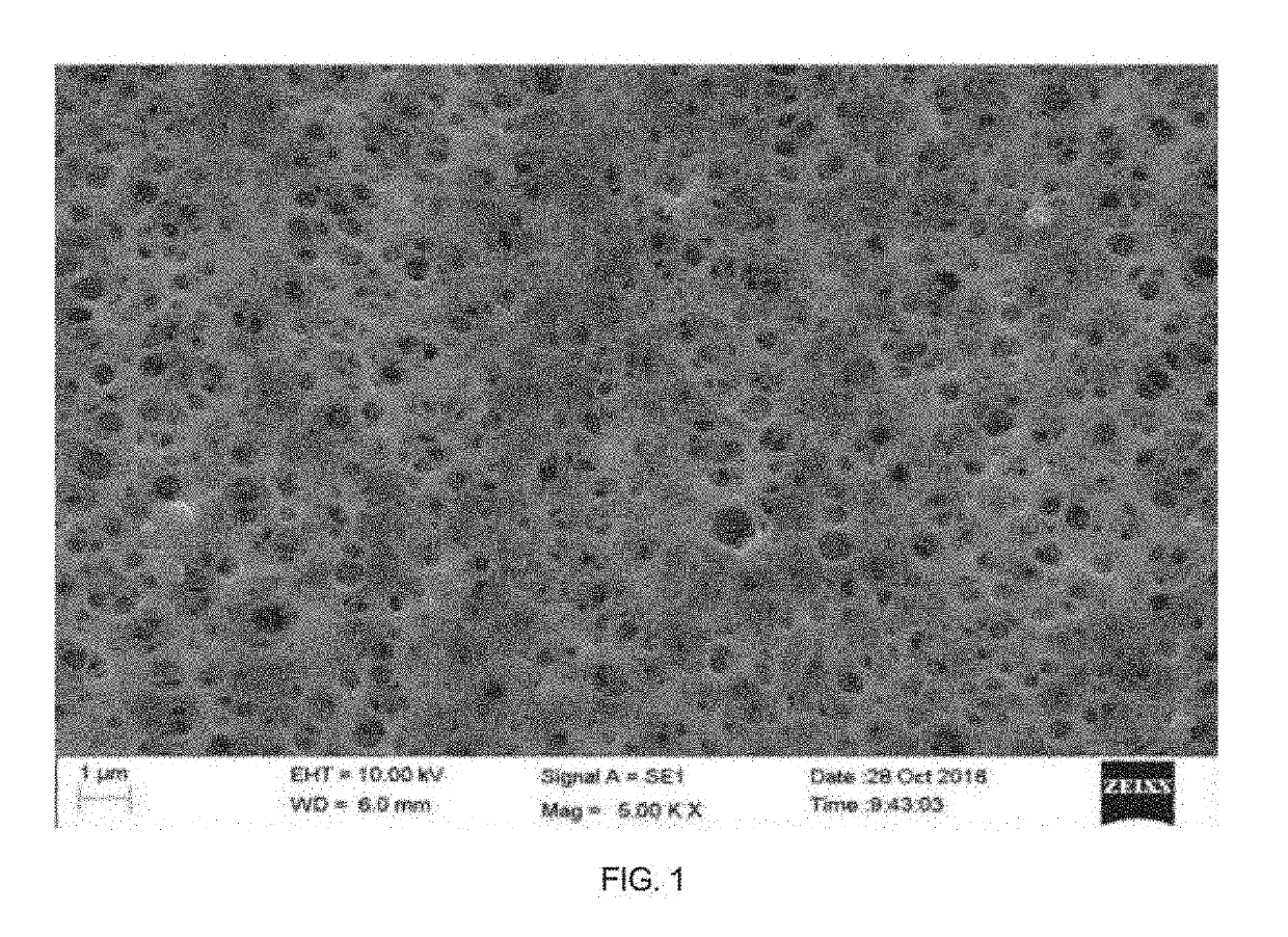 Ceramic-and-Polymer-Compositely-Coated Lithium Ion Separator and Preparation Method Therefor