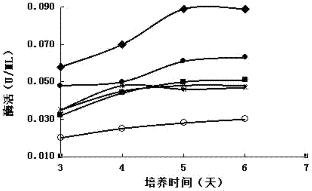 Lysobacter enzymogenes mutant strain and preparation method thereof