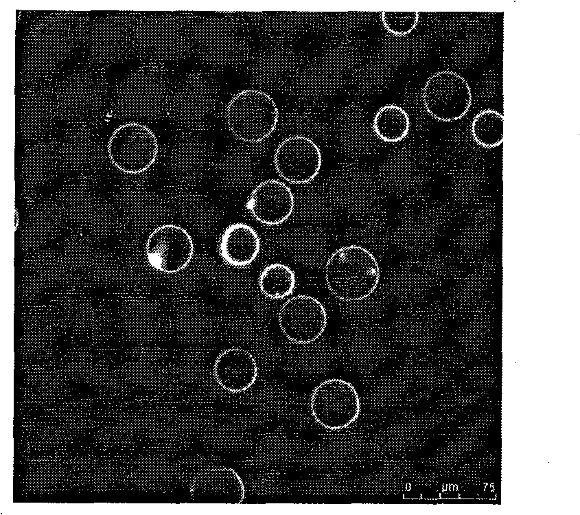 Process for producing fluorescent composite microgel hypersensitive to temperature and pH