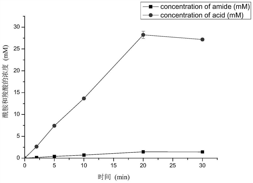 A kind of nitrilase mutant with improved reaction specificity and application thereof