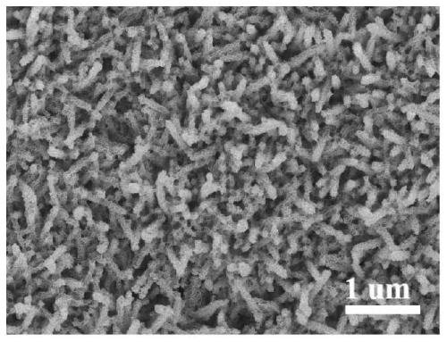 Preparation method and applications of core-shell zinc oxide@zinc oxide@molybdenum trioxide nano array composite film