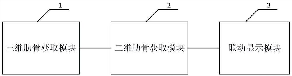 Rib image display device