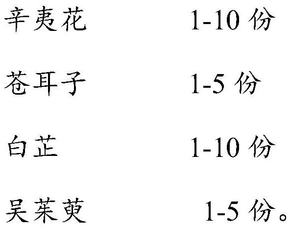 Traditional Chinese medicine composition for unblocking stuffy orifices, stopping nasal discharge, warming yang and consolidating foundation, patch and preparation method