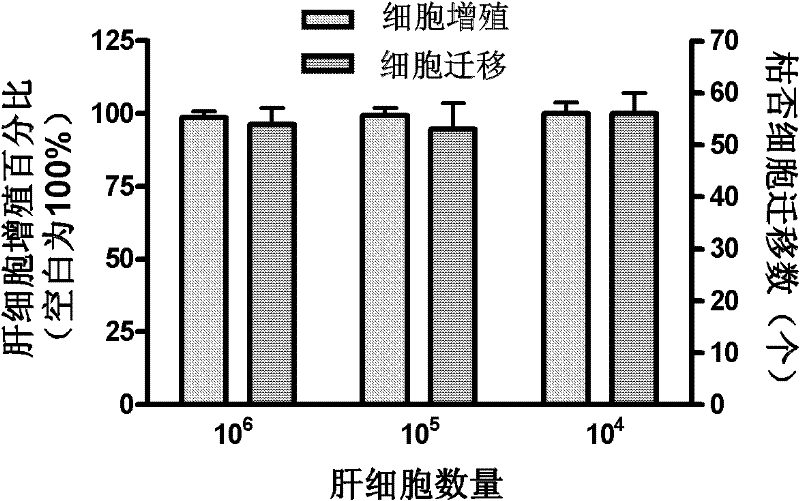 Co-culture system for liver cells and Kupffer cells and application thereof