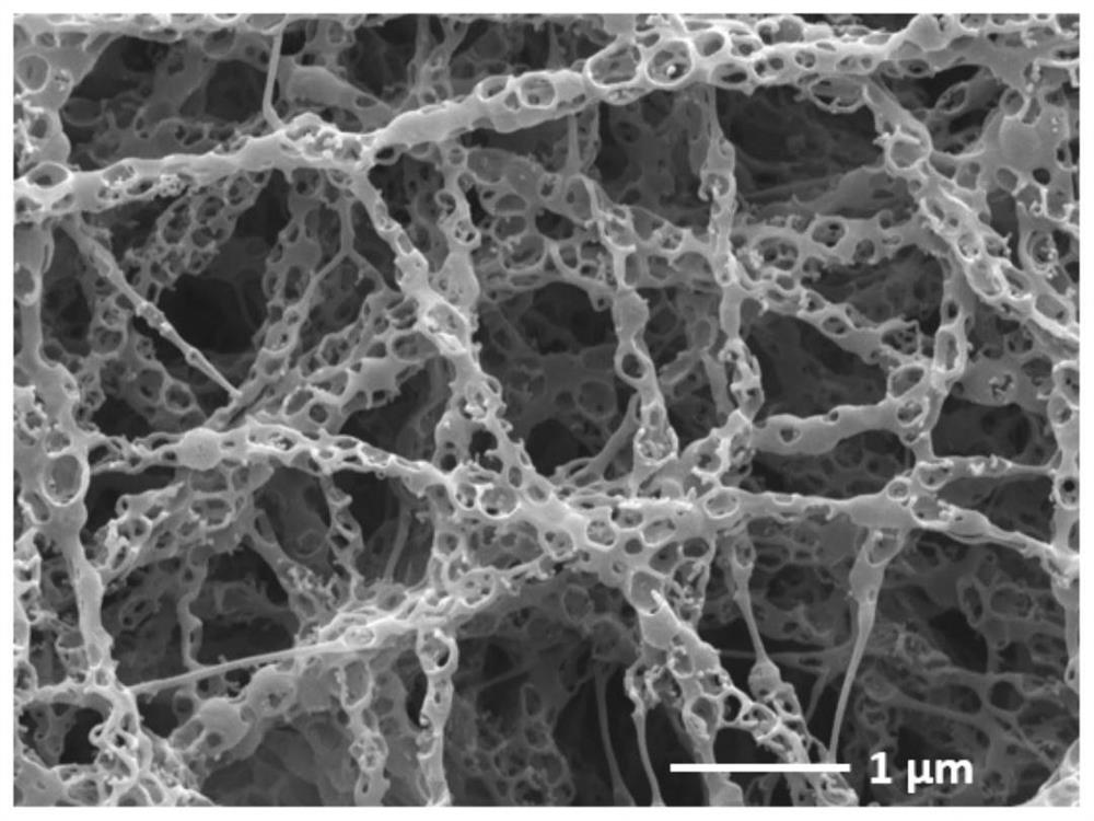 Porous carbon fiber electrode for flow battery and preparation method of porous carbon fiber electrode