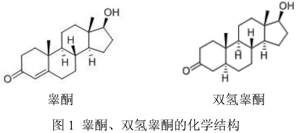 Dihydrotestosterone in situ gel spray and preparation method thereof