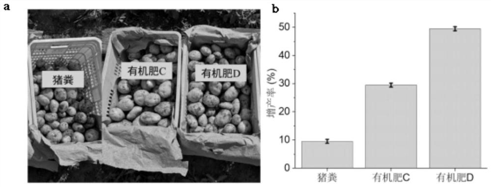 Method for rapidly converting pig manure into organic fertilizer