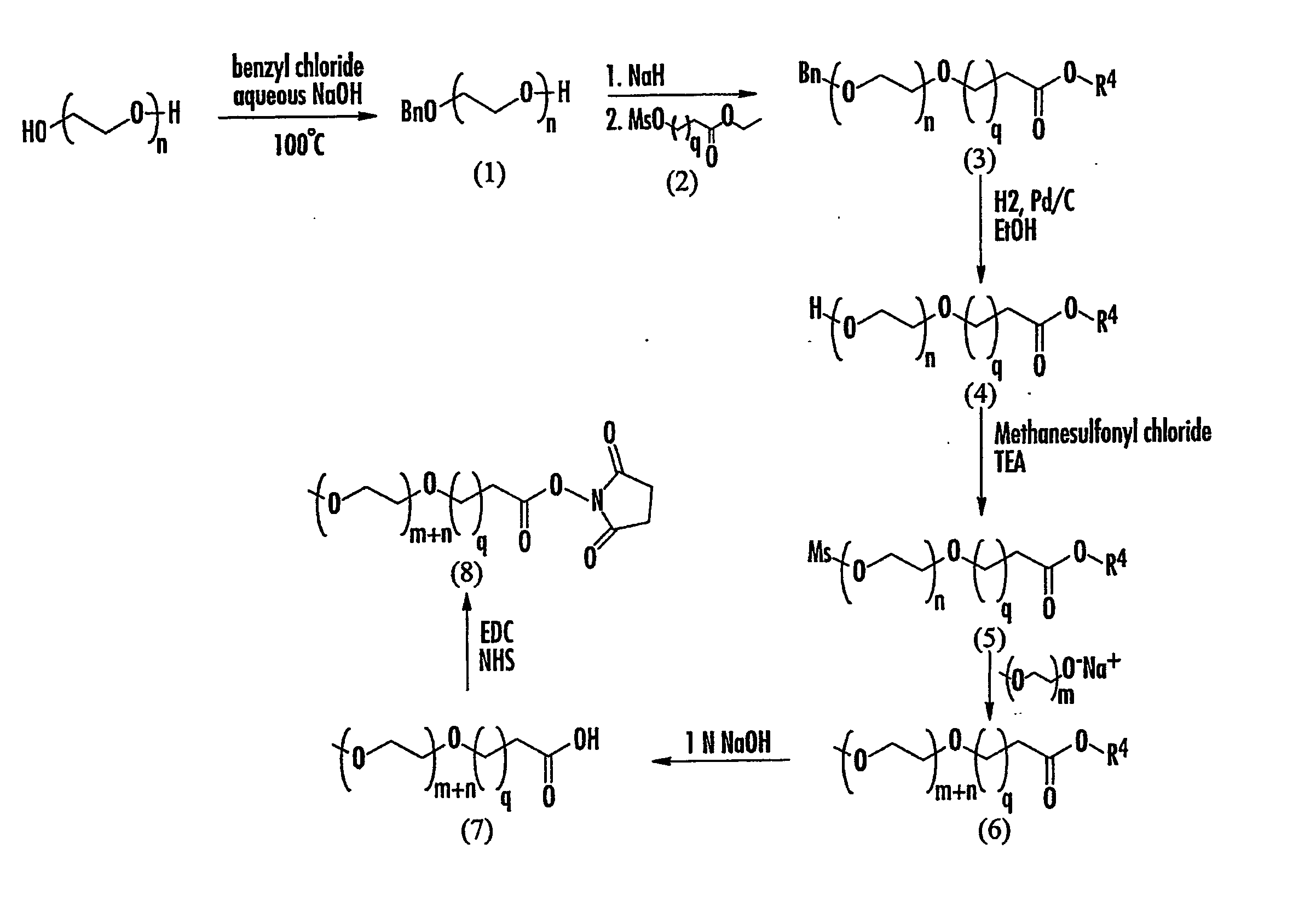 Mixtures Of Calcitonin Drug-Oligomer Conjugates And Methods Of Use In Pain Treatment