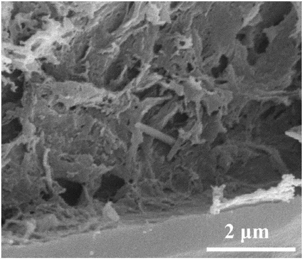 Preparation method for lamellar porous biocarbon with good adsorption function