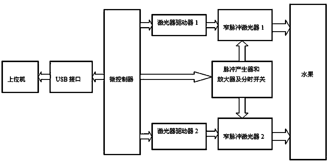 Method and system for non-destructive and rapid detection of fruit maturity by time-of-flight spectroscopy