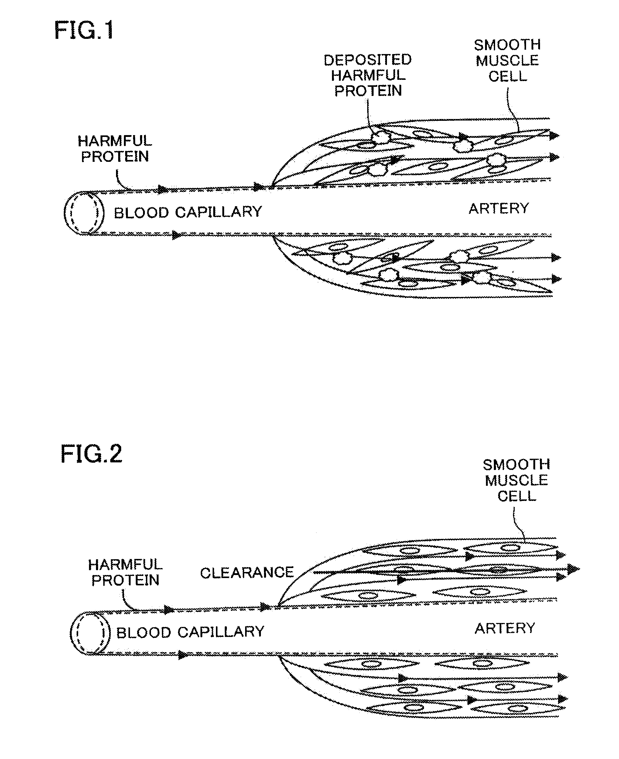 Prophylactic and/or therapeutic agent for mild cognitive impairment