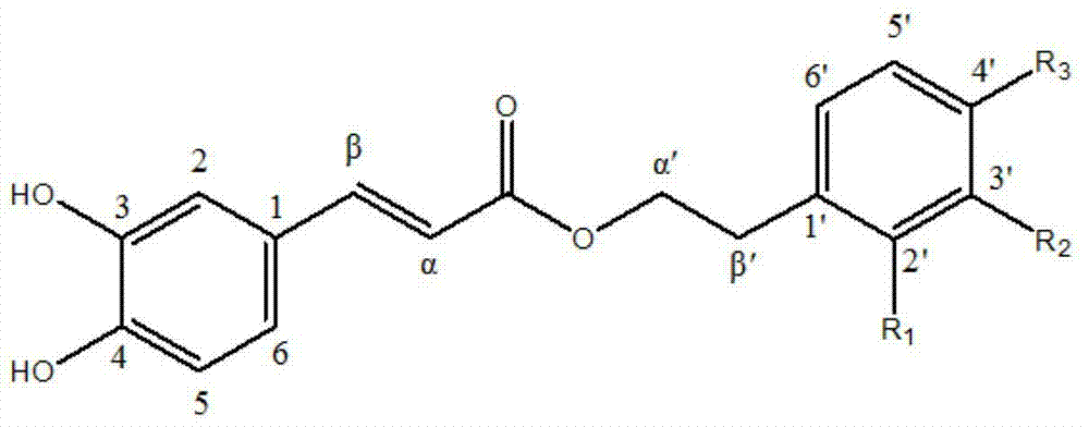 Phenethyl caffeate analogue and preparation and application thereof