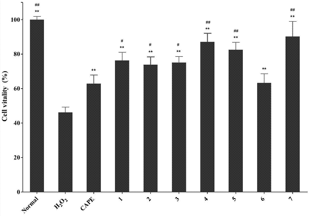 Phenethyl caffeate analogue and preparation and application thereof