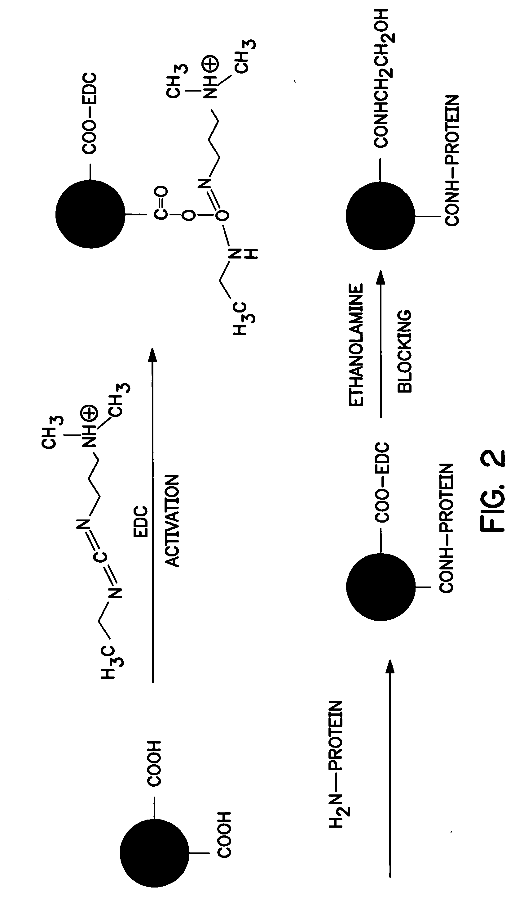 One-step enzymatic and amine detection technique