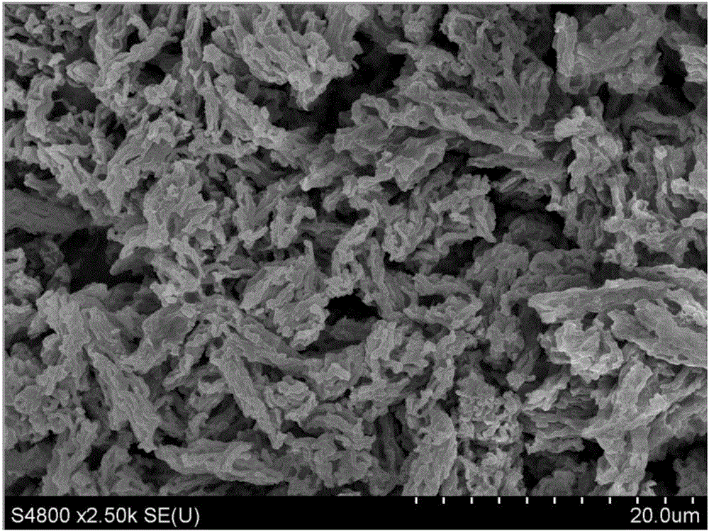 Electrochemical detection method of Staphylococcus aureus